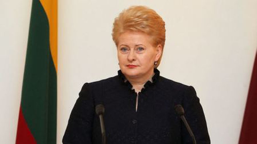 Президент: Приоритет Литвы и ЕС — энергетическая безопасность
 - Энергетика