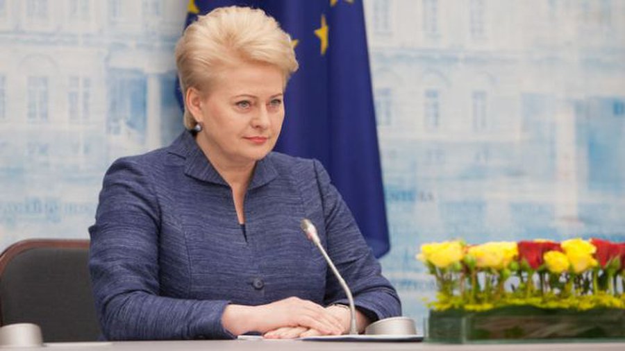 Грибаускайте поздравила граждан Литвы с Днем Конституции - Литва и страны Балтии