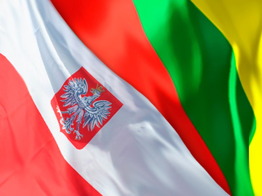 Президент Литвы отомстит России за плесень и бактерии: Прибалтика в польских СМИ - Литва и страны Балтии