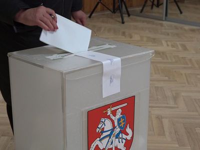 Как голосовать во втором туре выборов в сейм Литвы - Выборы 2024
