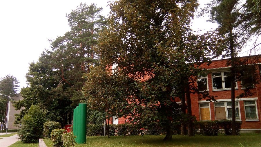 Глас народа: «Каденция разрушителей. Когда рожать-то начнёте, беременные идеями?» - В Висагинасе