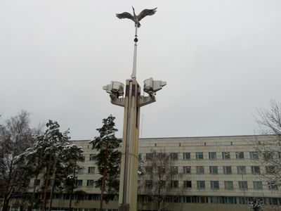 В совете появятся два новых депутата - В Висагинасе