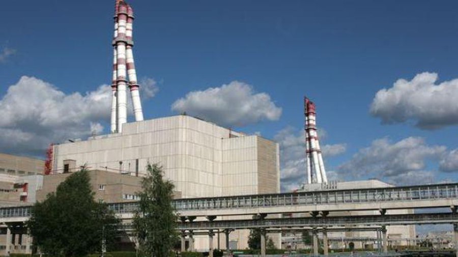 Глава Игналинской АЭС: В общении ИАЭС и Nukem все еще не хватает гибкости - Энергетика