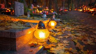 Перед Днём поминовения усопших напомнили о правилах ухода за могилами