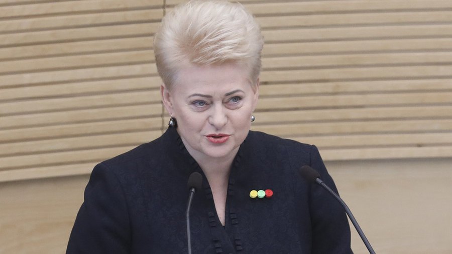 Politologai aptarė prezidentės metinio pranešimo akcentus - Lietuva ir Baltijos šalys