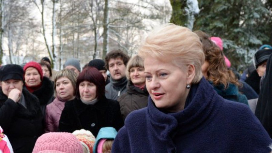 Президент Литвы подписала Закон о развитии неправительственных организаций (НПО) - Литва и страны Балтии