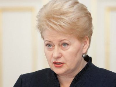 Президент Литвы: Саммит Восточного партнерства может стать началом нового этапа и новых возможностей - Литва и страны Балтии