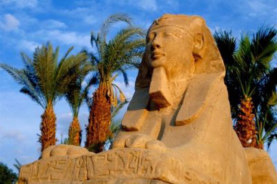 Protestai – smūgis Egipto ekonomikai                                 - Pasaulyje