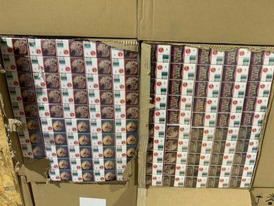 Уничтожено почти 80 тыс. пачек контрабандных сигарет - Происшествия и криминал