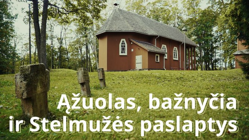 Stelmužė: šimtmečių ąžuolo ir dvaro istorija (filmas) - Įdomu žinoti