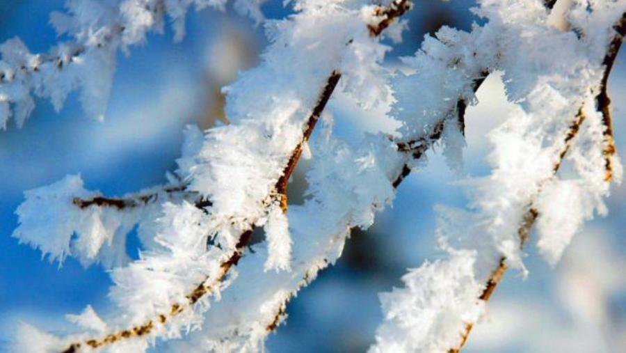 Savaitės orai: žiema grįžta be skrupulų - Lietuva ir Baltijos šalys