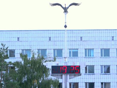 Приспособление жилья и жилой среды для семей, воспитывающих детей с тяжелым недугом - В Висагинасе