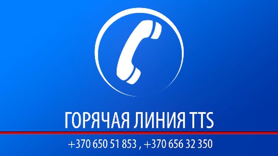 Горячая линия TTS: Почему не решается вопрос с бездомными животными? - В Висагинасе