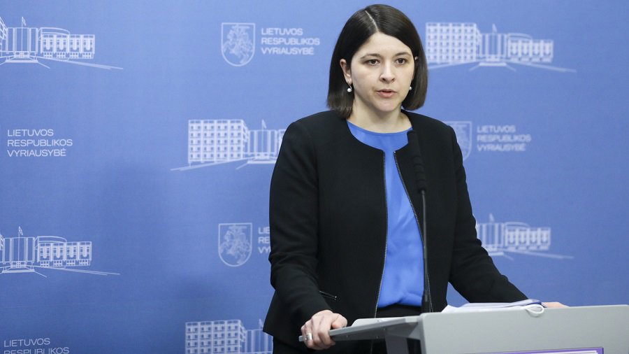 Министр финансов: Литва дополнительно выделить 2 млн. евро на поддержку людей, бегущих от войны внутри Украины - В Мире