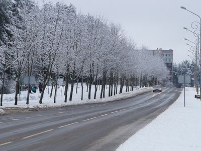 В Литву идут холода - появится зимнее солнце - Литва и страны Балтии