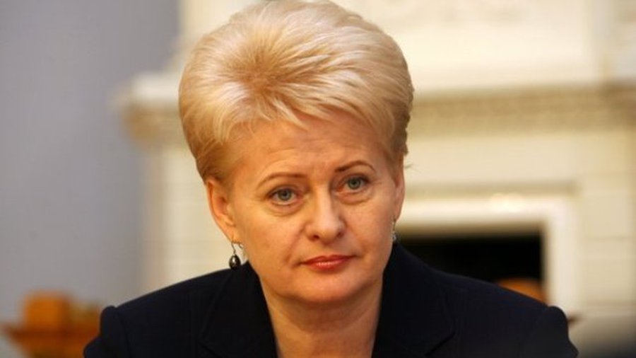 Президент Литвы обсудила итоги председательства в ЕС с послами Евросоюза - Литва и страны Балтии