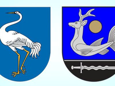 Во второй тур вышли А.Думбрава и Н.Гусевас - В Висагинасе