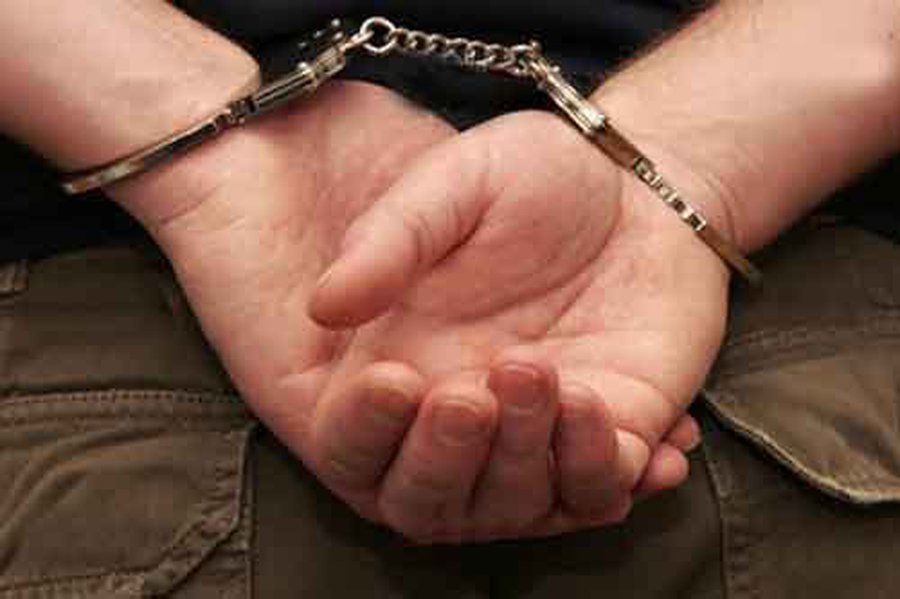 Sausio 29-31 d. policijos suvestinės - Visagine