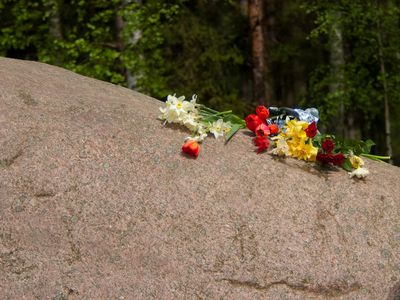 Приглашаем висагинцев отметить День Победы - В Висагинасе