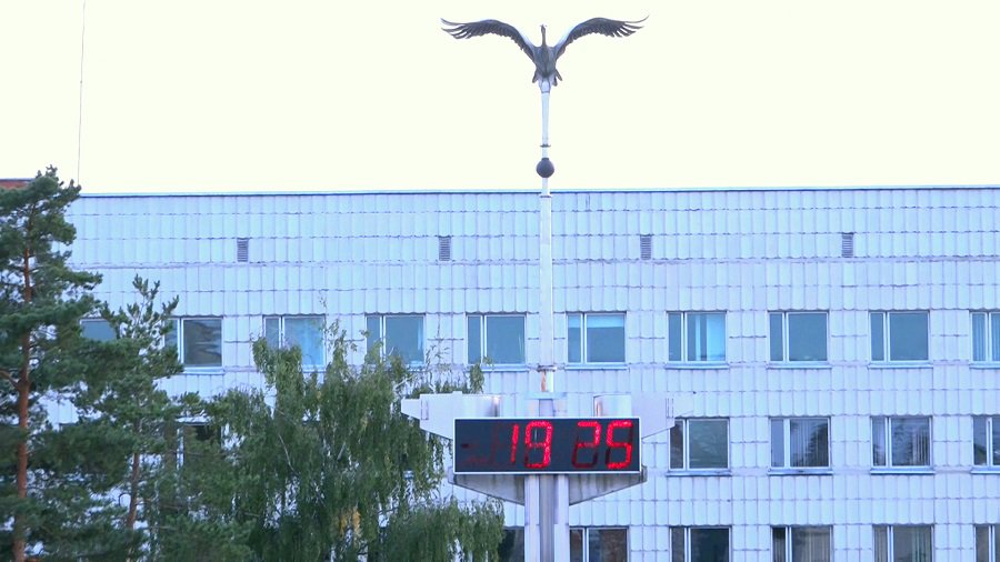 Приспособление жилья и жилой среды для семей, воспитывающих детей с тяжелым недугом - В Висагинасе