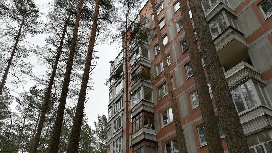 Вопрос с вырубкой деревьев у дома Седулинос, 35 решен - В Висагинасе
