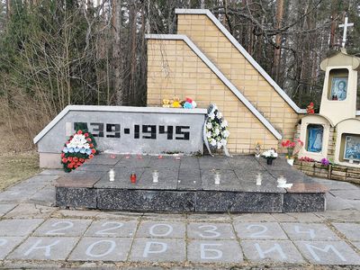 9 Мая.  Что можно и что нельзя - В Висагинасе