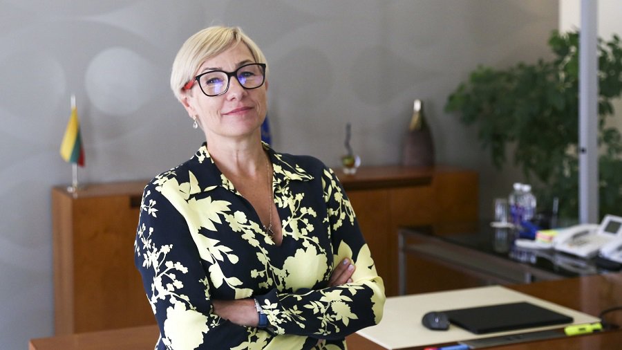 Государство будет финансировать педагогам изучение информатики - Ю. Шюгждинене - Литва и страны Балтии