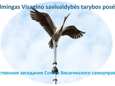 Запись прямой трансляции торжественного заседания Совета (видео) - В Висагинасе
