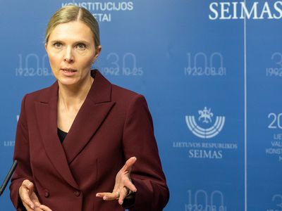 Литва готовится к новому потоку военных беженцев - Литва и страны Балтии