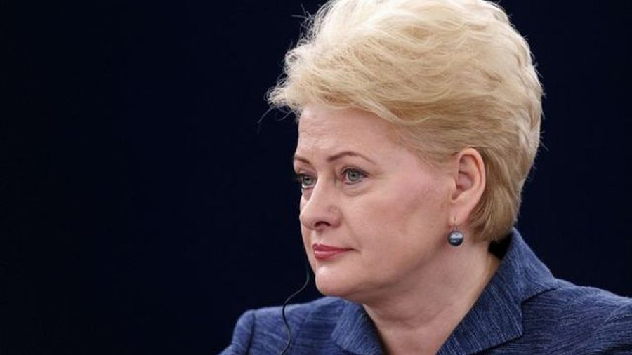 Денис Тарасенко: «Травля» президента Литвы Дали Грибаускайте - Литва и страны Балтии