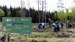 Два литовских проекта вышли в финал "City Nation Place Awards"