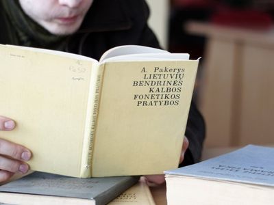 Правительство намерено установить четкие границы обязательного использования государственного языка - Литва и страны Балтии