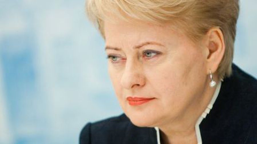 Президент Литвы: «Литва — пример для всей Европы» - Литва и страны Балтии